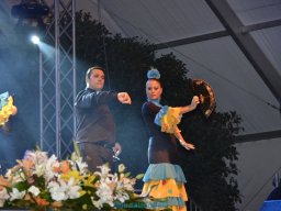 Festival de Folkore en Mula